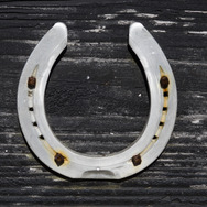 競馬の有馬記念、ゴールドシップのラストランは内田博幸が騎乗