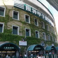 清宮幸太郎世代のスラッガー4選手ピックアップ