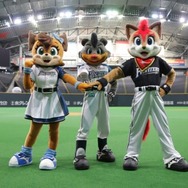 選手の意外な一面も見られる？SNSを使いこなすパ・リーグマスコットたち