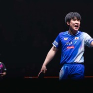 張本智和、世界2位・林詩棟との1時間超えの激闘を制し決勝進出　中国勢撃破で悲願の戴冠へ「4度目の正直で絶対に優勝する」【WTTファイナルズ香港】