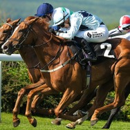 【中山金杯／穴ライズ】間違いなく中山巧者の想定“8人気”前後に注目　負かした相手と勝ちっぷりから通用レベルにあり