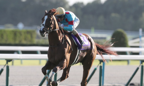 【金鯱賞2026予想】過去10年のレース結果・配当・血統まとめ　傾向分析に使えるお役立ちデータ